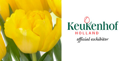 TuLips Keukenhof